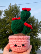 Load image into Gallery viewer, Prickly Pear Cactus
