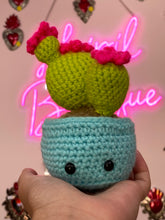 Load image into Gallery viewer, Prickly Pear Cactus
