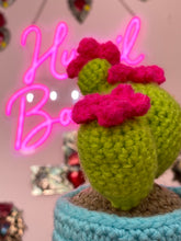 Load image into Gallery viewer, Prickly Pear Cactus
